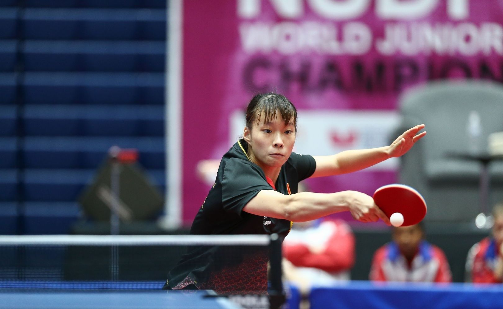 法进行有效 法进行有效