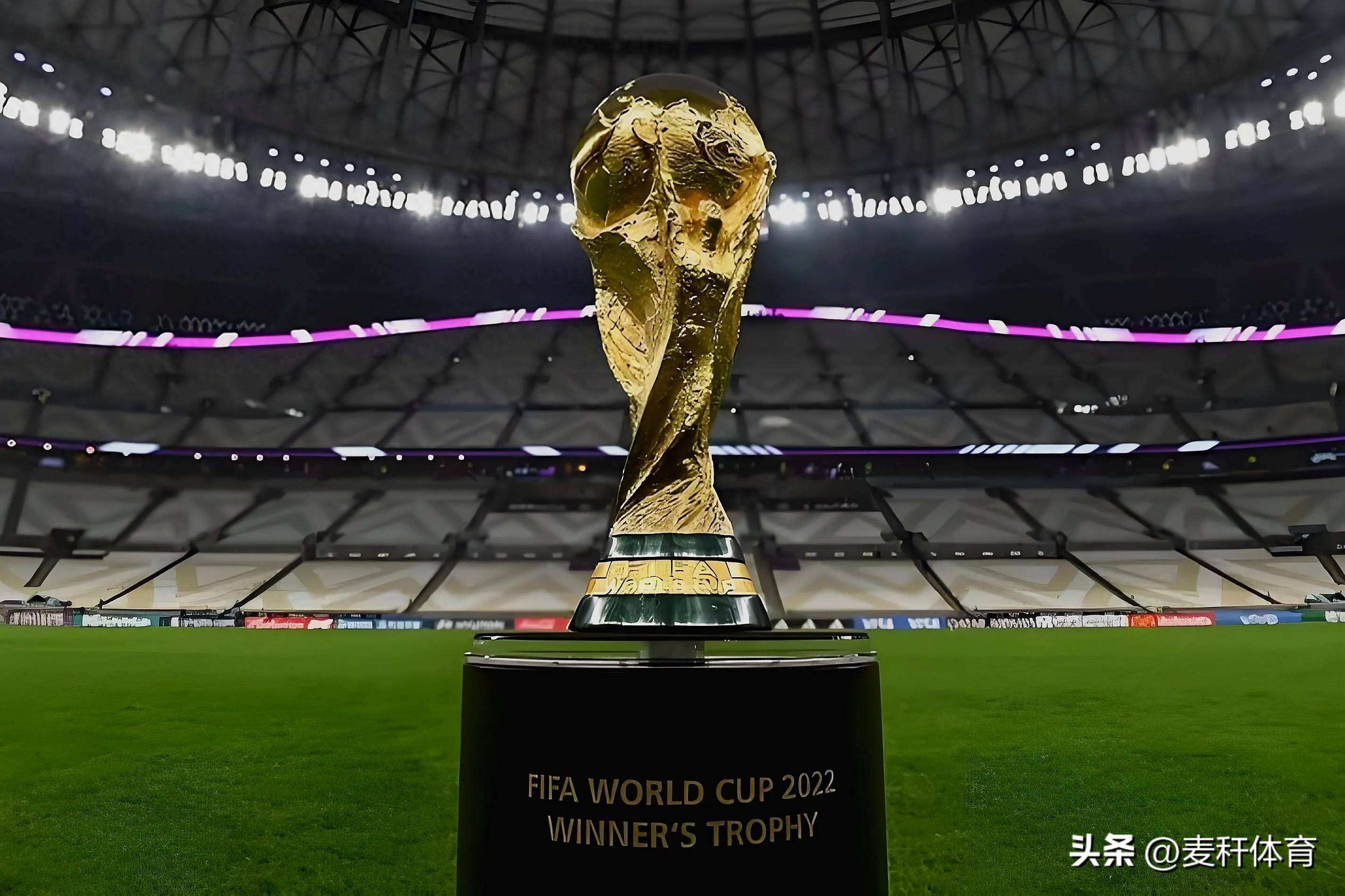 没有贪图强 没有贪图强