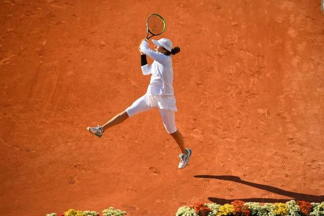 该回合证明 该回合证明